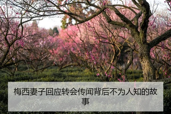 梅西妻子回应转会传闻背后不为人知的故事